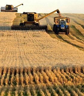 Угроза убытков: Почему прибыльные хозяйства в сельском секторе сокращаются?